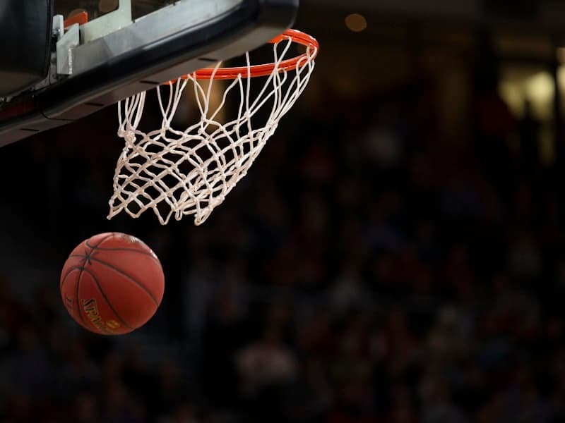 Paniers basketball réglables (paire)